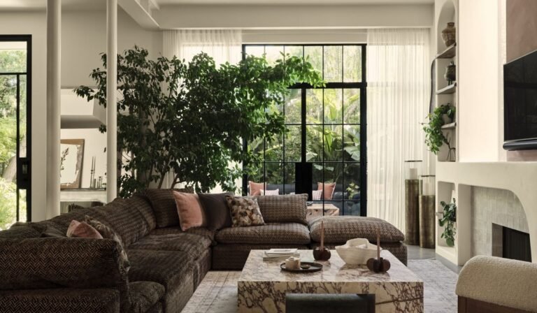 Plants for Home Decor