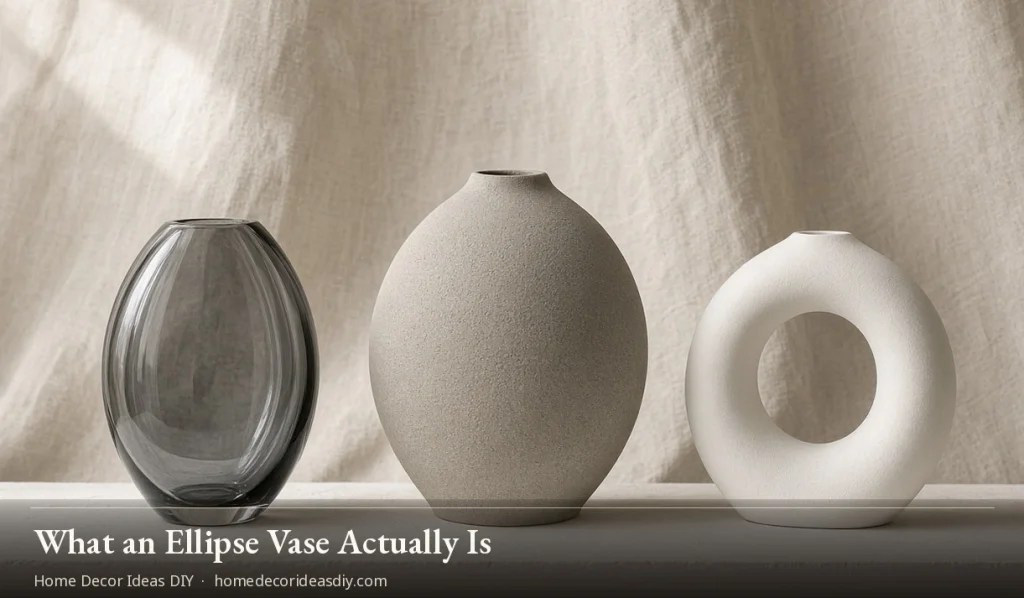  What an Ellipse Vase Actually Is — Home Decor Ideas DIY


