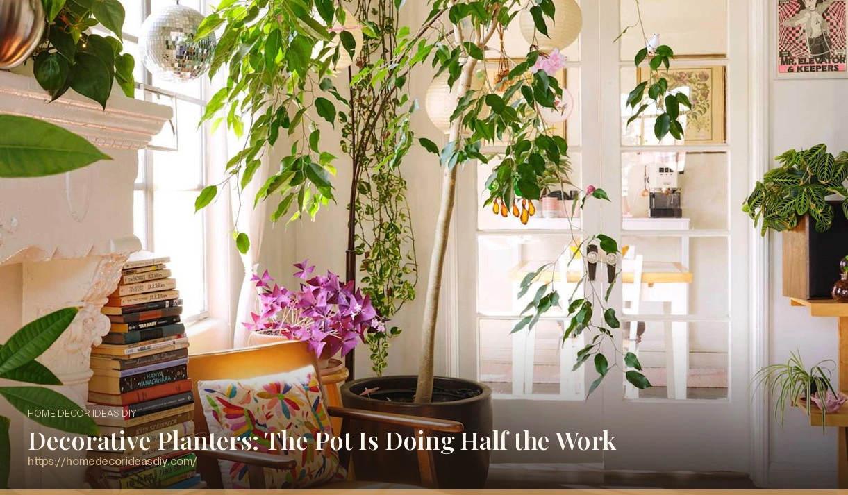 Decorative Planters: The Pot Is Doing Half the Work