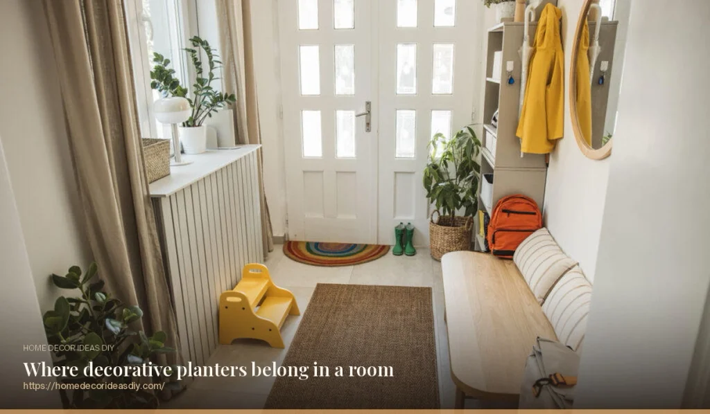 Entryway with a plant in a woven basket planter by the door and a white decorative planter on the radiator shelf